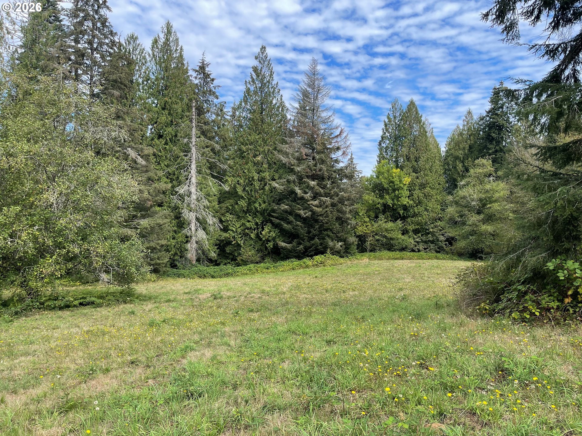 0 Northeast Brown Road, Unit 1 Washougal, WA 98671 - Photo 15 of 15 a view of outdoor space and yard