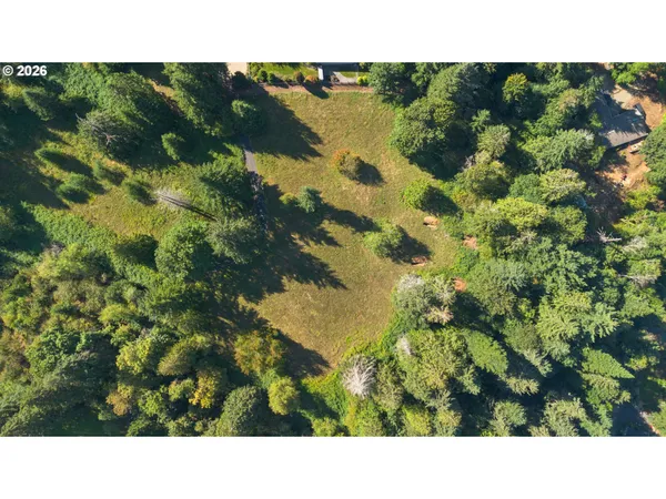 a open area with green field
