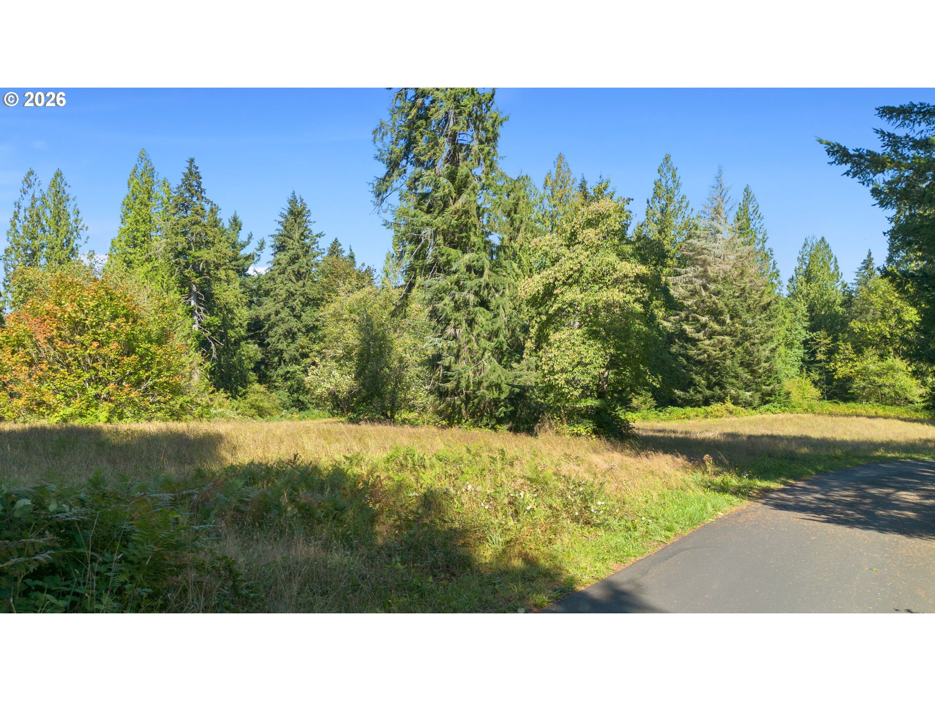 0 Northeast Brown Road, Unit 1 Washougal, WA 98671 - Photo 6 of 15 a black and white photo of a park