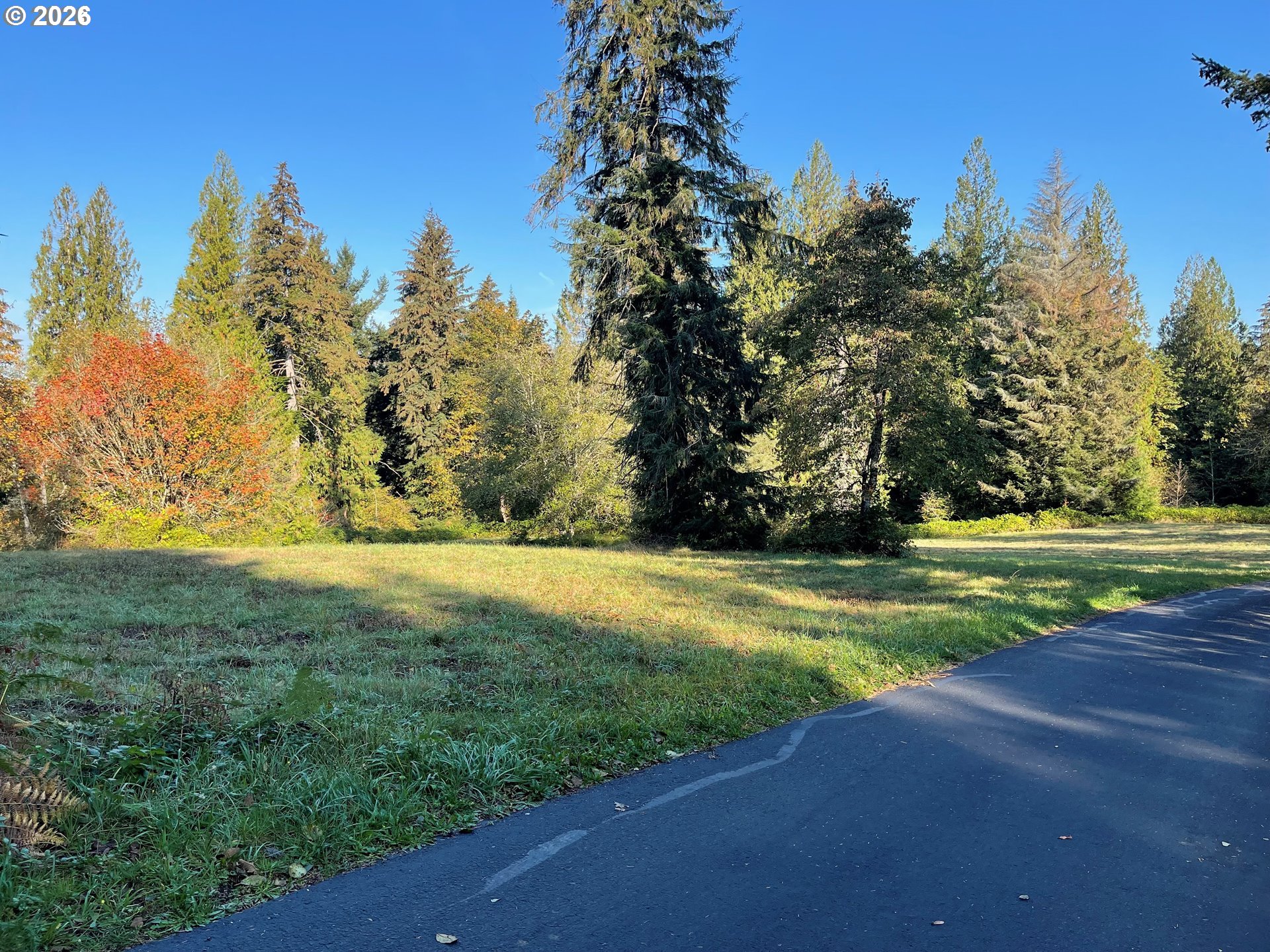 0 Northeast Brown Road, Unit 1 Washougal, WA 98671 - Photo 8 of 15 a view of a yard