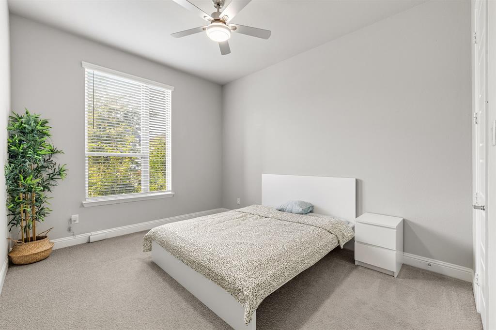 7852 Buffaloberry Road Frisco, TX 75035 - Photo 20 of 36 Second bedroom downstairs Carpeted room featuring a ceiling fan with light, a large window with blinds, and light gray wall paint