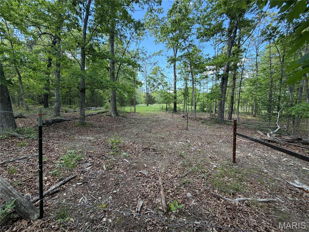7 County Road Salem, MO 65560 - Photo 4 of 6 Gallery Image 4