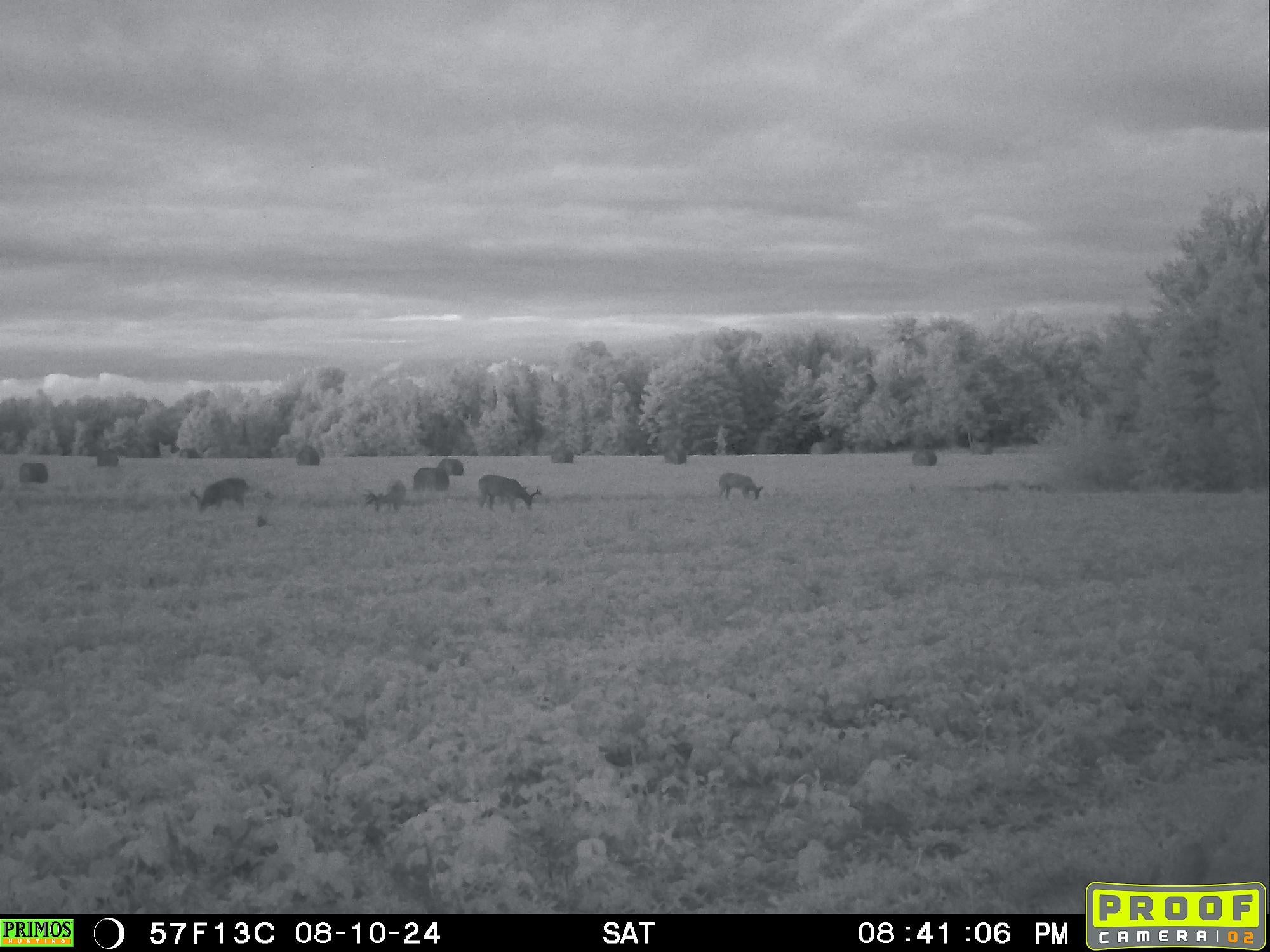 60240 Stuart Road Mason, WI 54856 - Photo 92 of 99 Gallery Image 92