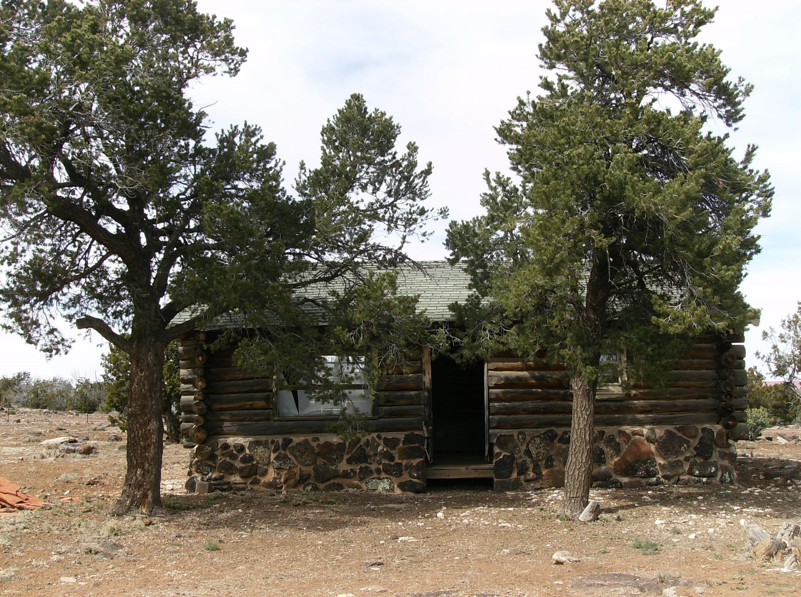 137 Spruce Road Vernon, AZ 85940 - Photo 33 of 61