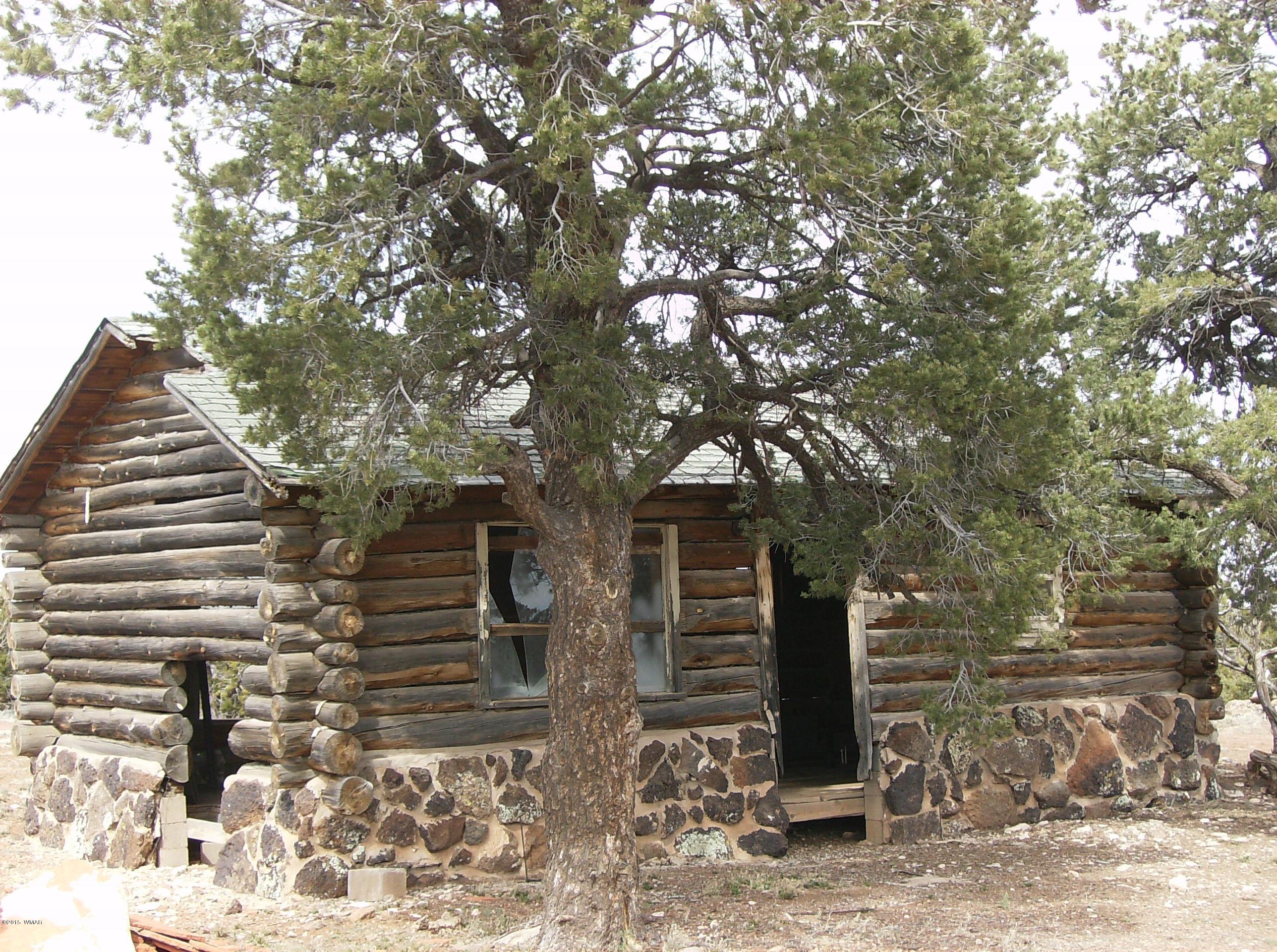 137 Spruce Road Vernon, AZ 85940 - Photo 35 of 61