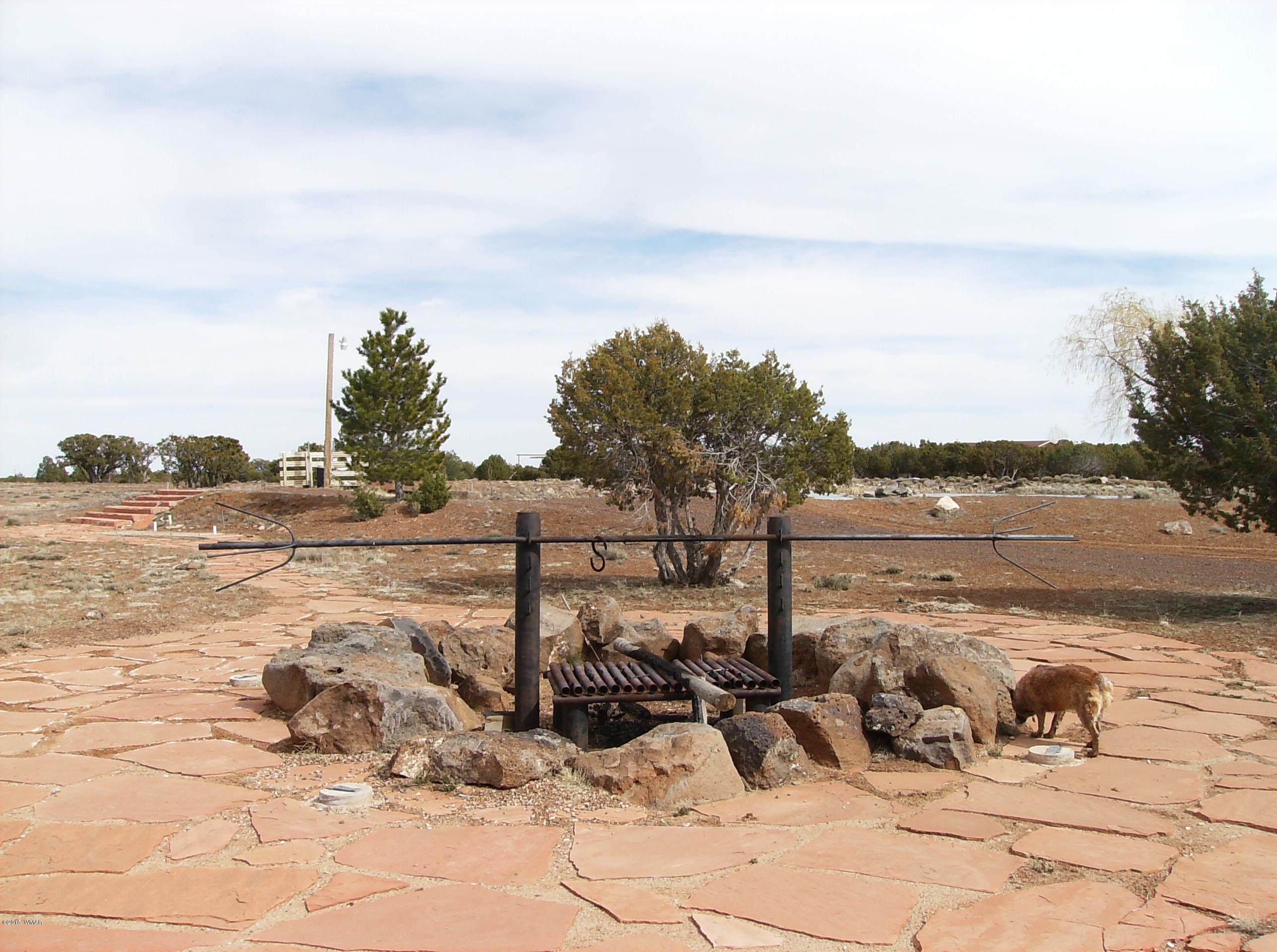 137 Spruce Road Vernon, AZ 85940 - Photo 39 of 61