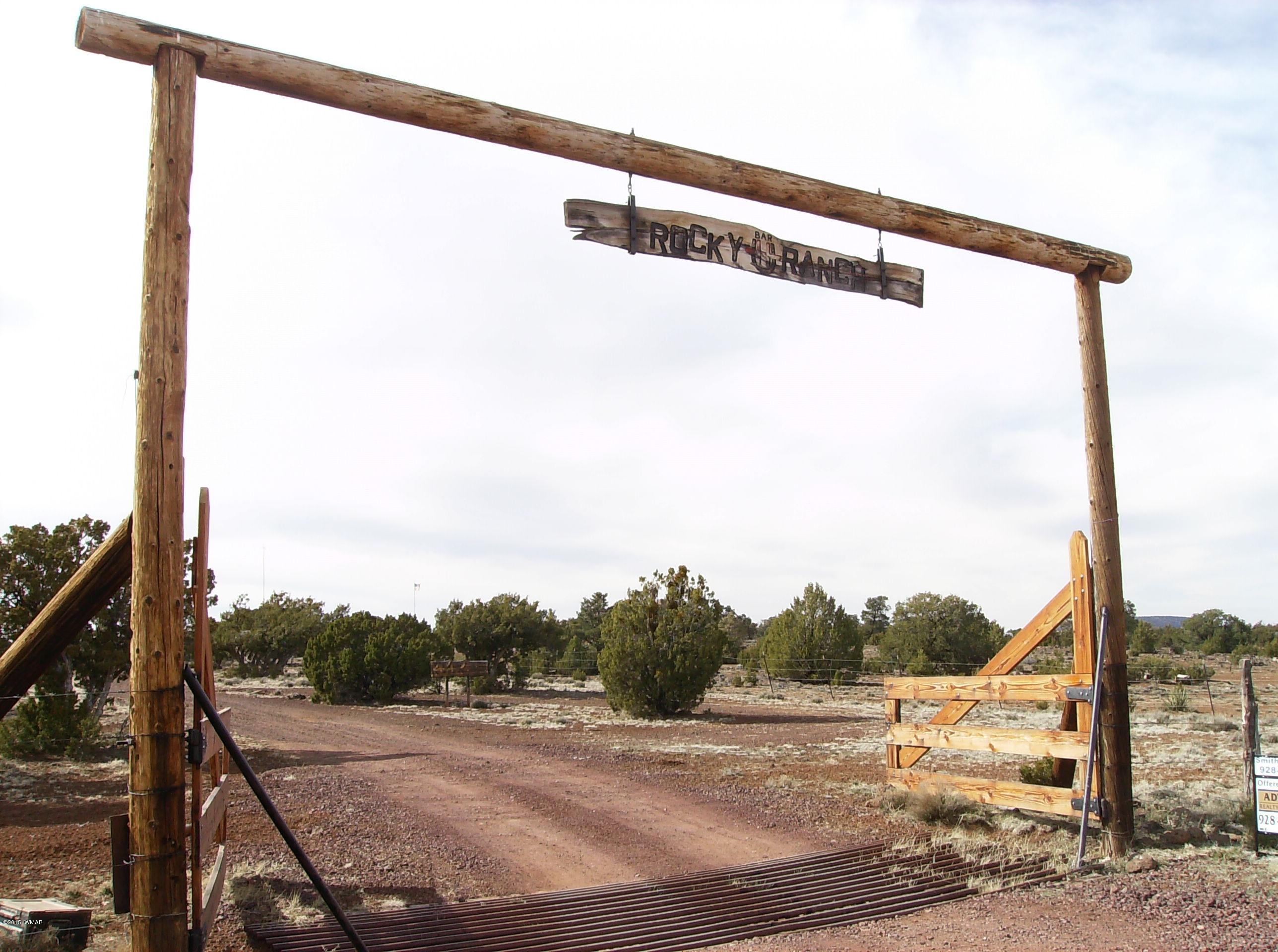137 Spruce Road Vernon, AZ 85940 - Photo 42 of 61