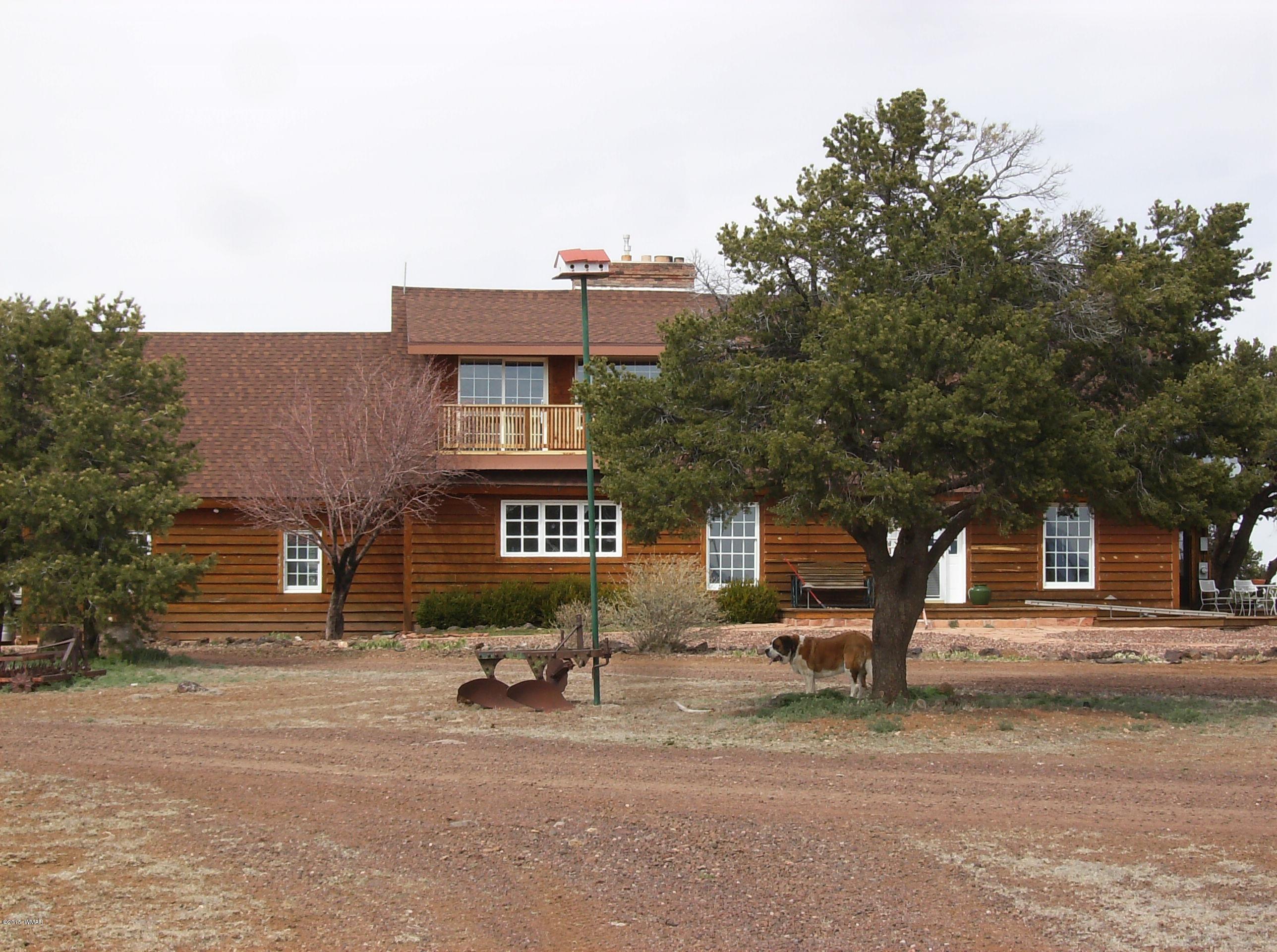 137 Spruce Road Vernon, AZ 85940 - Photo 44 of 61