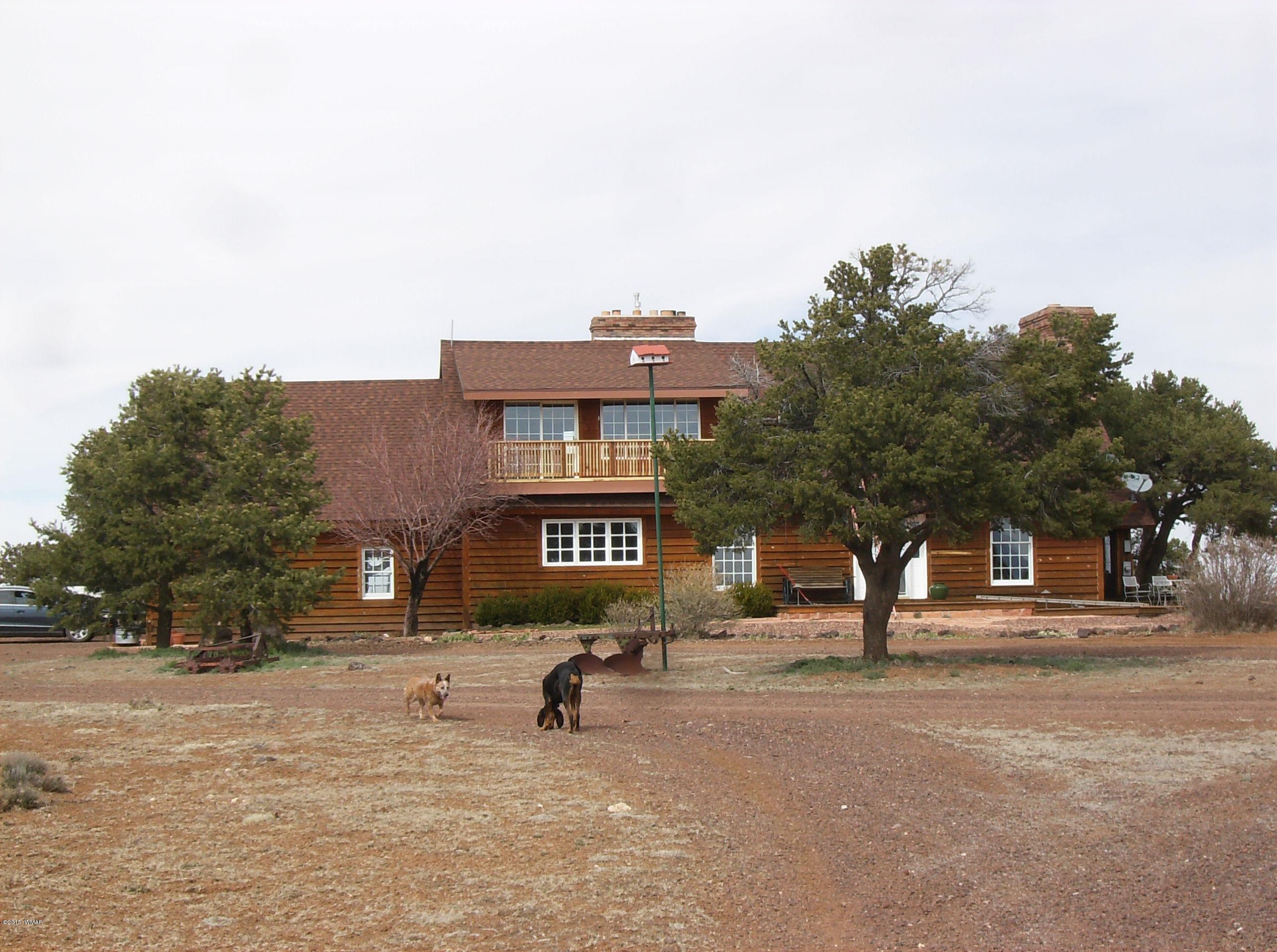 137 Spruce Road Vernon, AZ 85940 - Photo 46 of 61