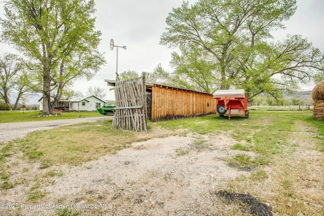 a view of a yard with large tree