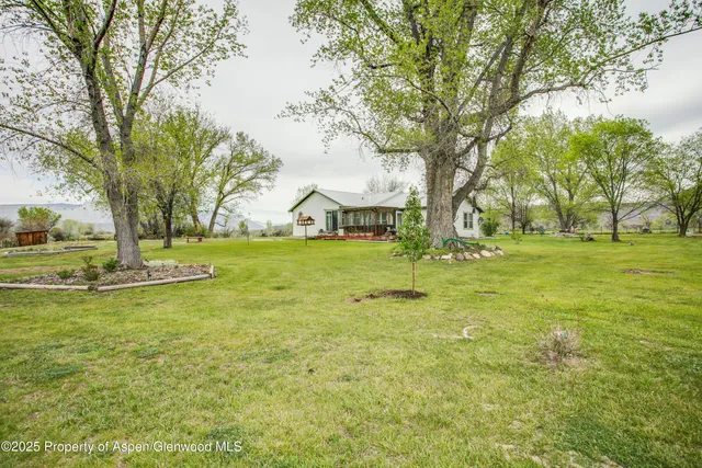 a view of a garden with palm trees