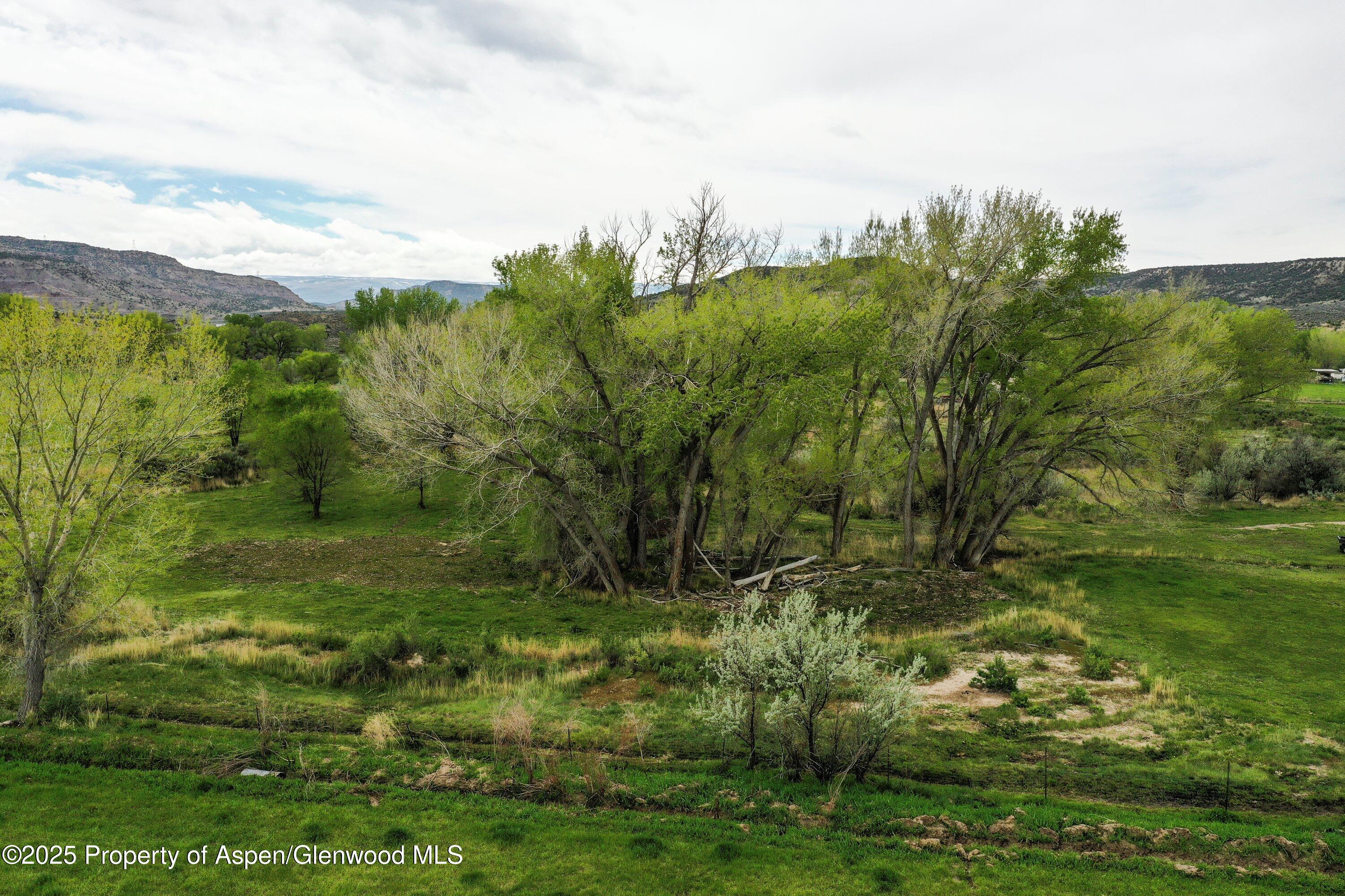 70 Frontage Road De Beque, CO 81630 - Photo 5 of 26 a view of a lush green space