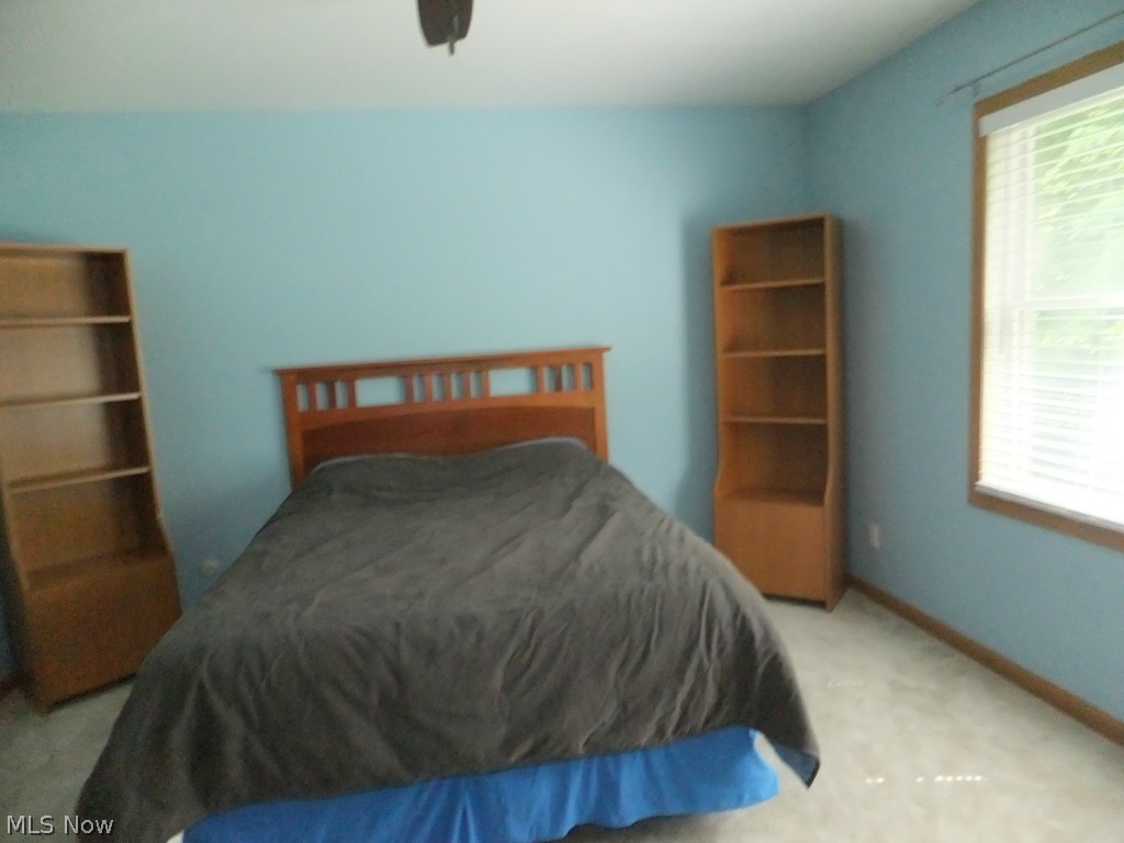 4025 Green Road Perry, OH 44081 - Photo 21 of 25