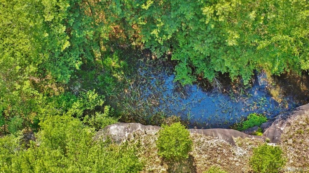 Marsh Road Fallsburg, NY 12733 - Photo 8 of 20 Pond