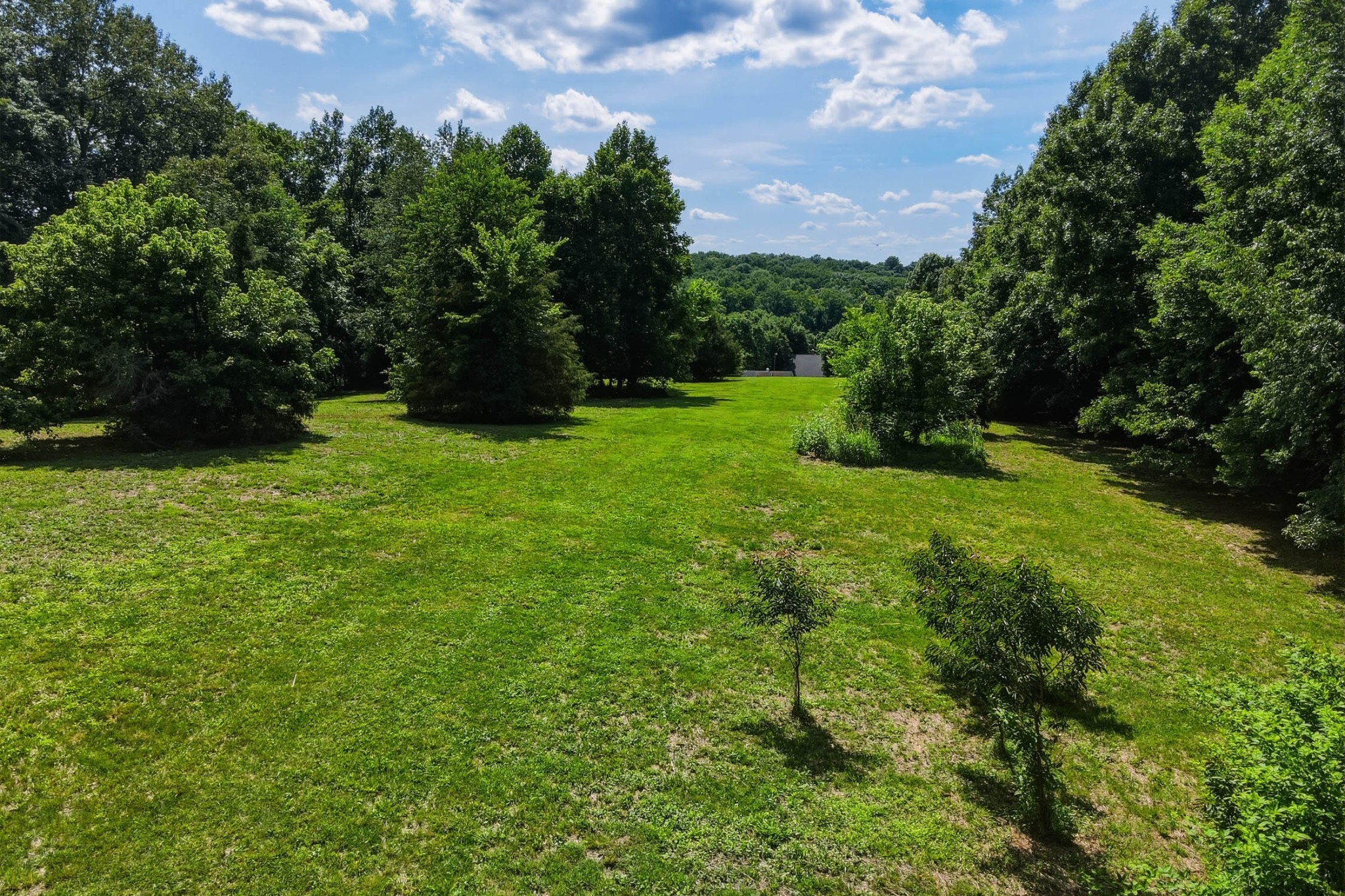 8157 Highway 49 Springfield, TN 37172 - Photo 40 of 56