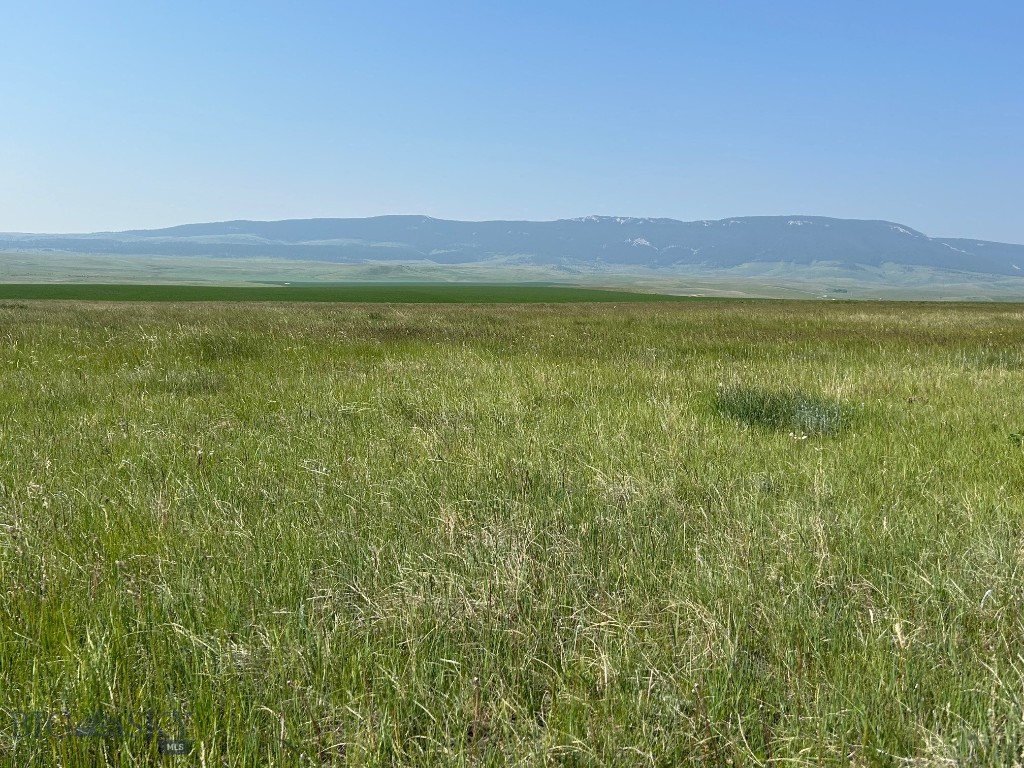 Tbd U Bet Road Buffalo, MT 59418 - Photo 2 of 30 Gallery Image 2