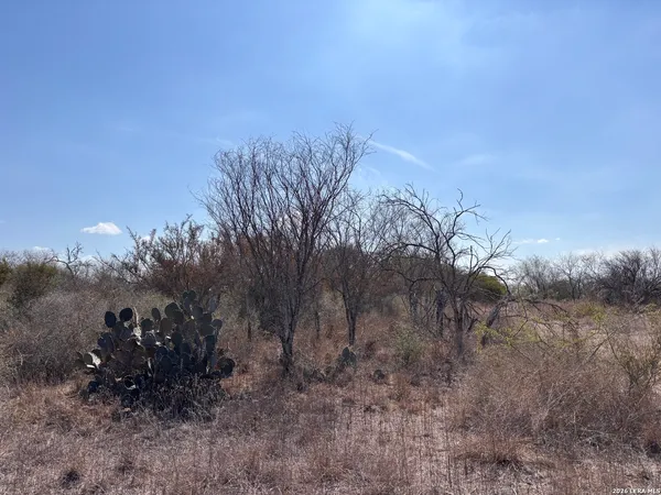 a view of a dry field