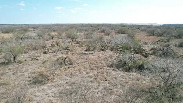 a view of a dry field with trees in the background