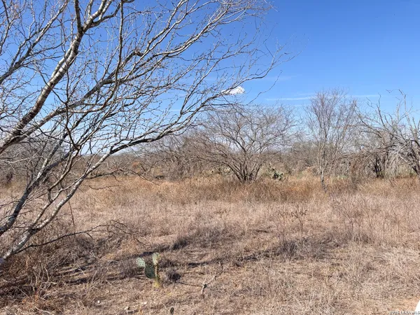 a backyard of a house with large trees