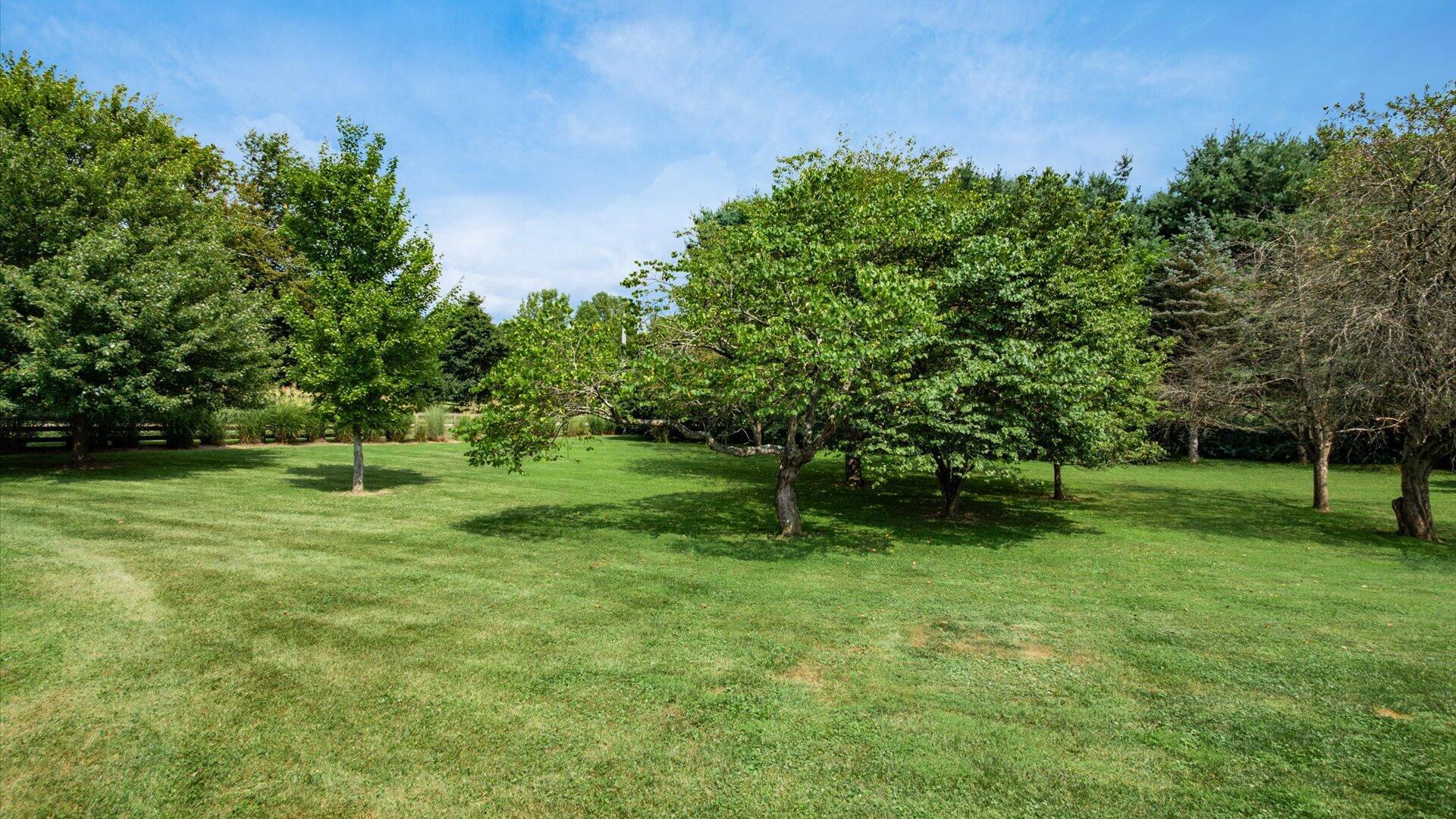 2160 Cambria Mill Road Granville, OH 43023 - Photo 7 of 43 09-z 2160 Cambria Mill009