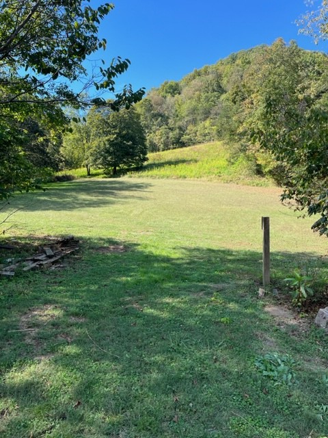 303 Little Creek Road Pleasant Shade, TN 37145 - Photo 28 of 38 Gallery Image 28