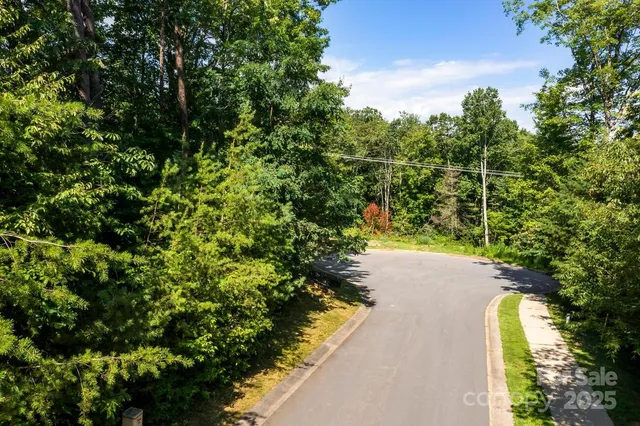 a view of a yard with plants