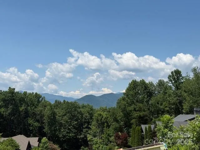a view of a bunch of trees in bunch