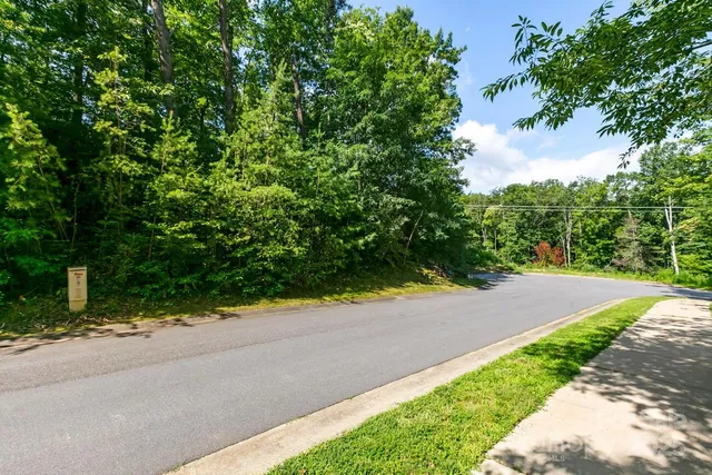 a view of a yard with plants and trees