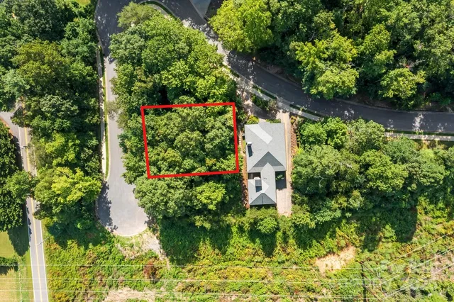 a picture of flowers