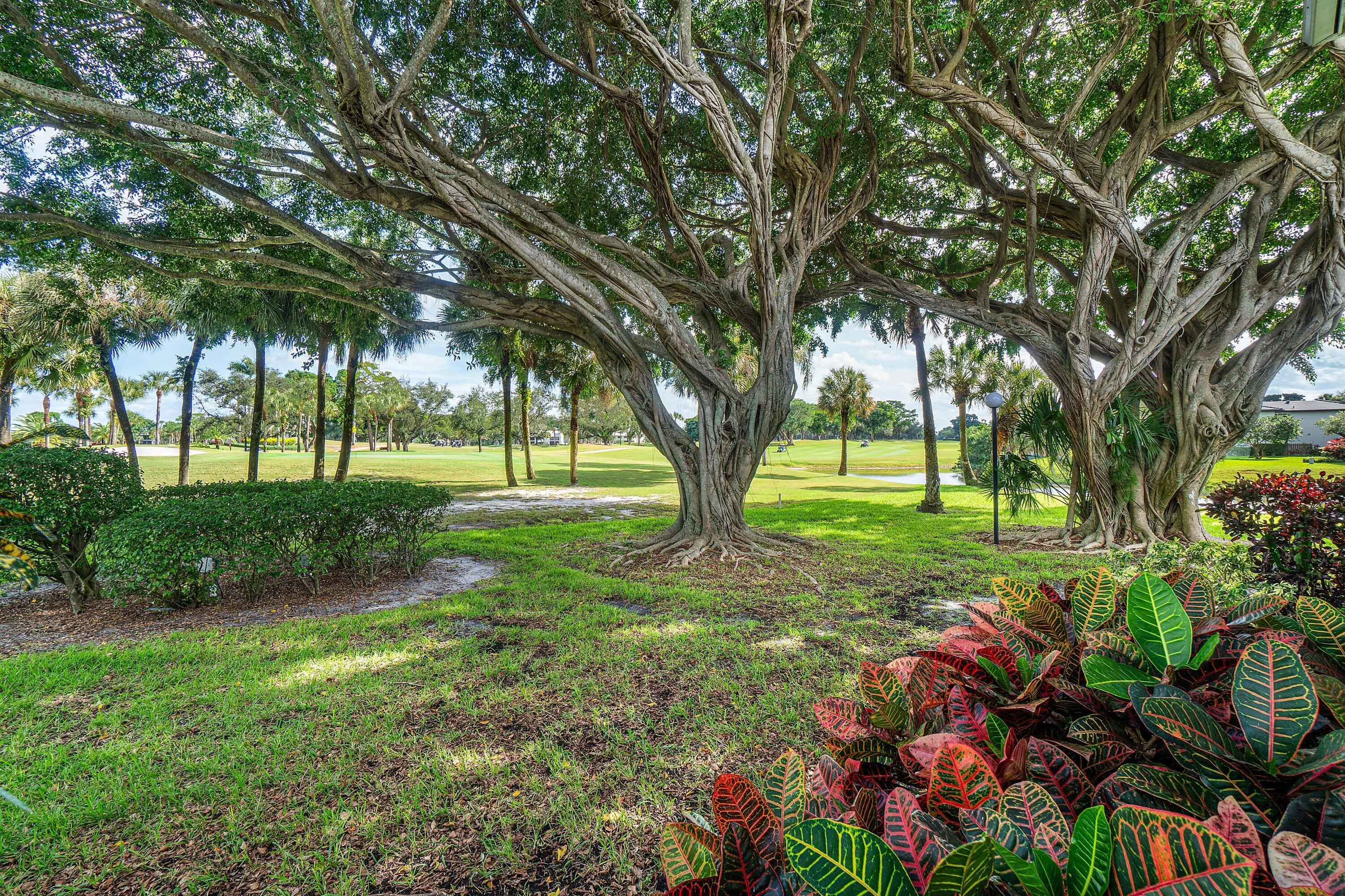 38 Southport Lane, Unit A Boynton Beach, FL 33436 - Photo 29 of 65 a view of a backyard with large trees