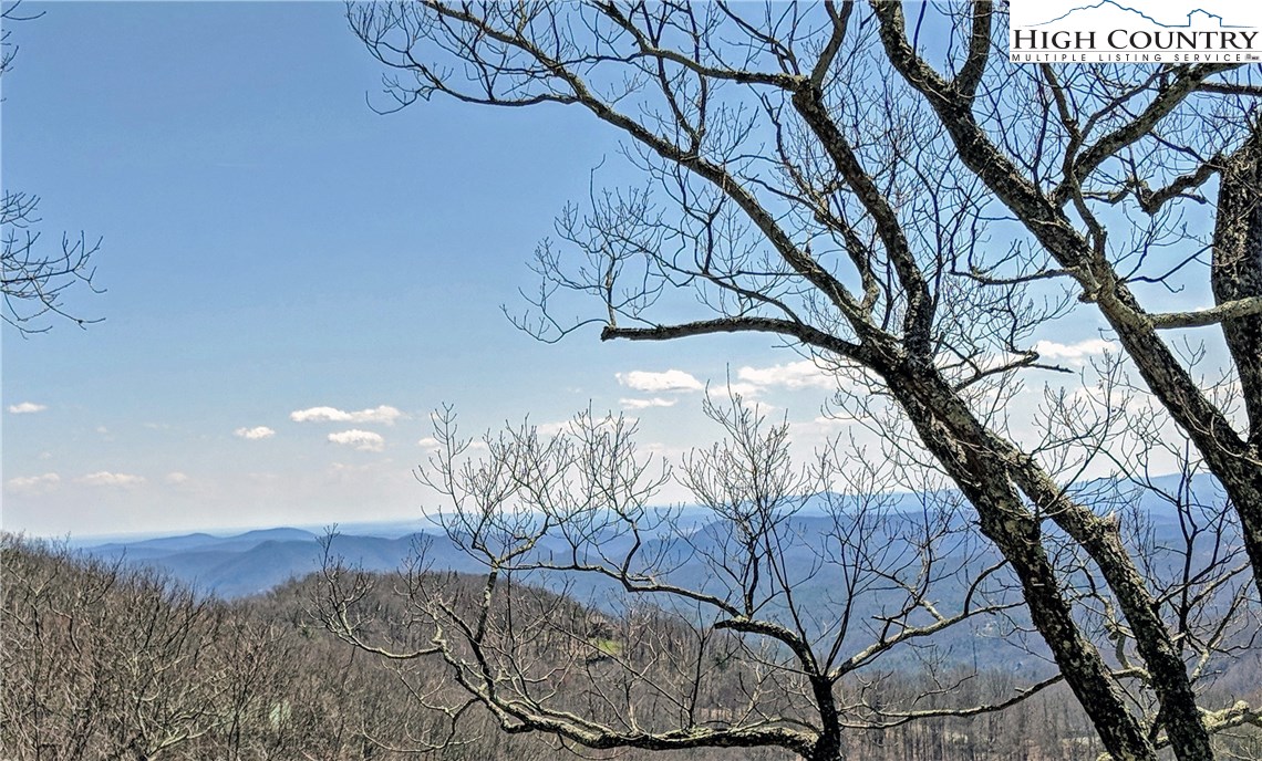 1118 Blackberry Road Boone, NC 28607 - Photo 11 of 25 Gallery Image 11