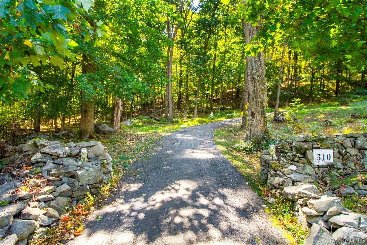 310 Oak Lane Newburgh, NY 12550 - Photo 2 of 34 a view of a yard with plants and large trees