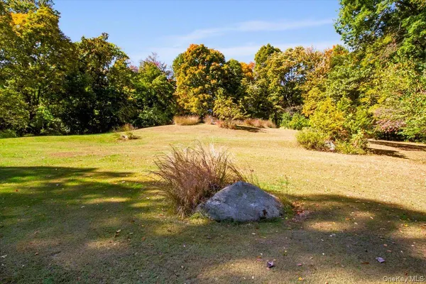 a view of a big yard with large trees