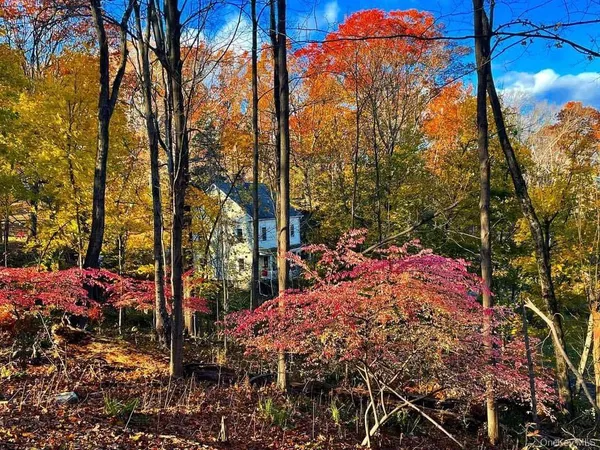a view of backyard space