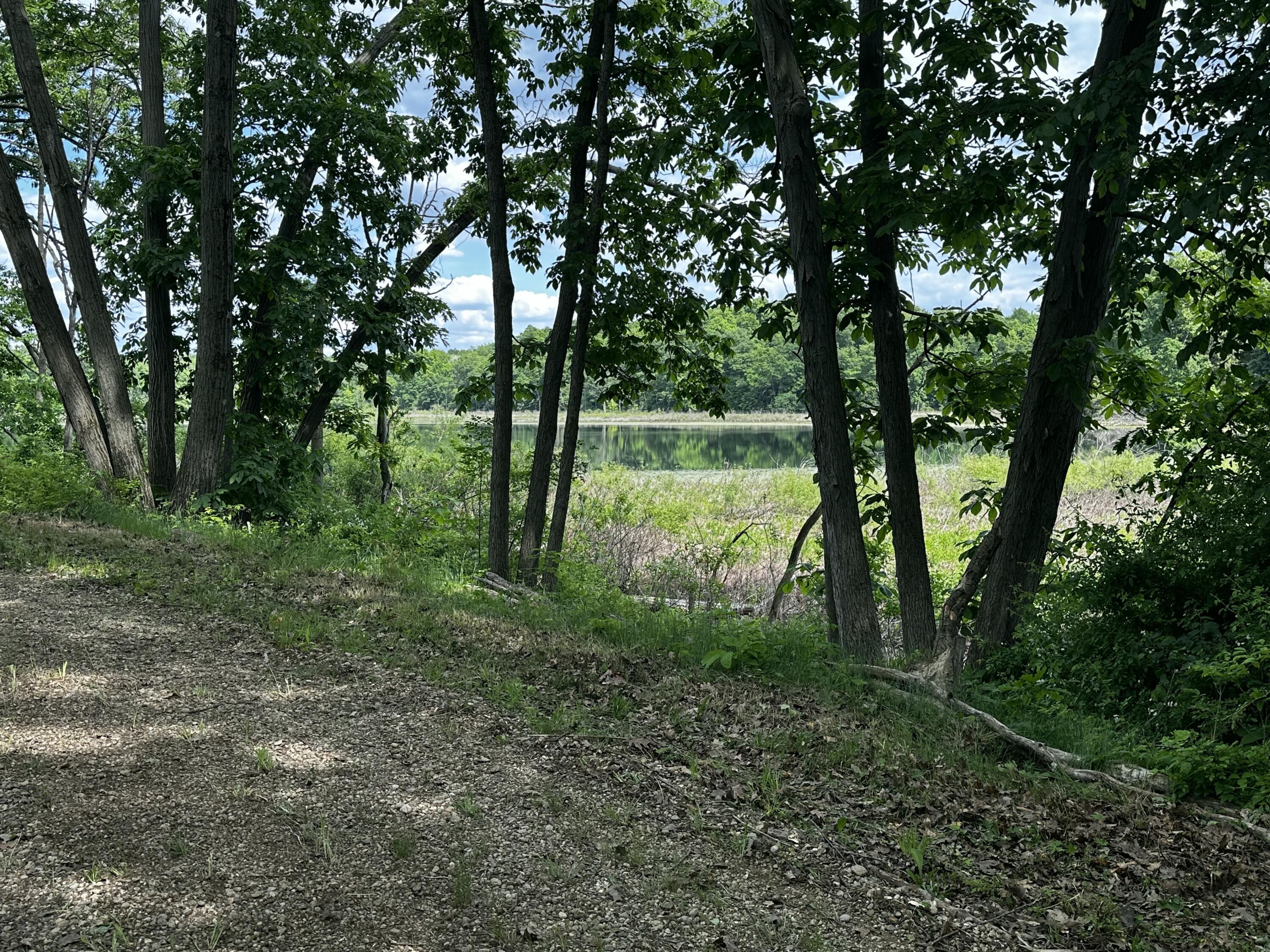 South Norris Road Delton, MI 49046 - Photo 11 of 13 IMG_0962 2