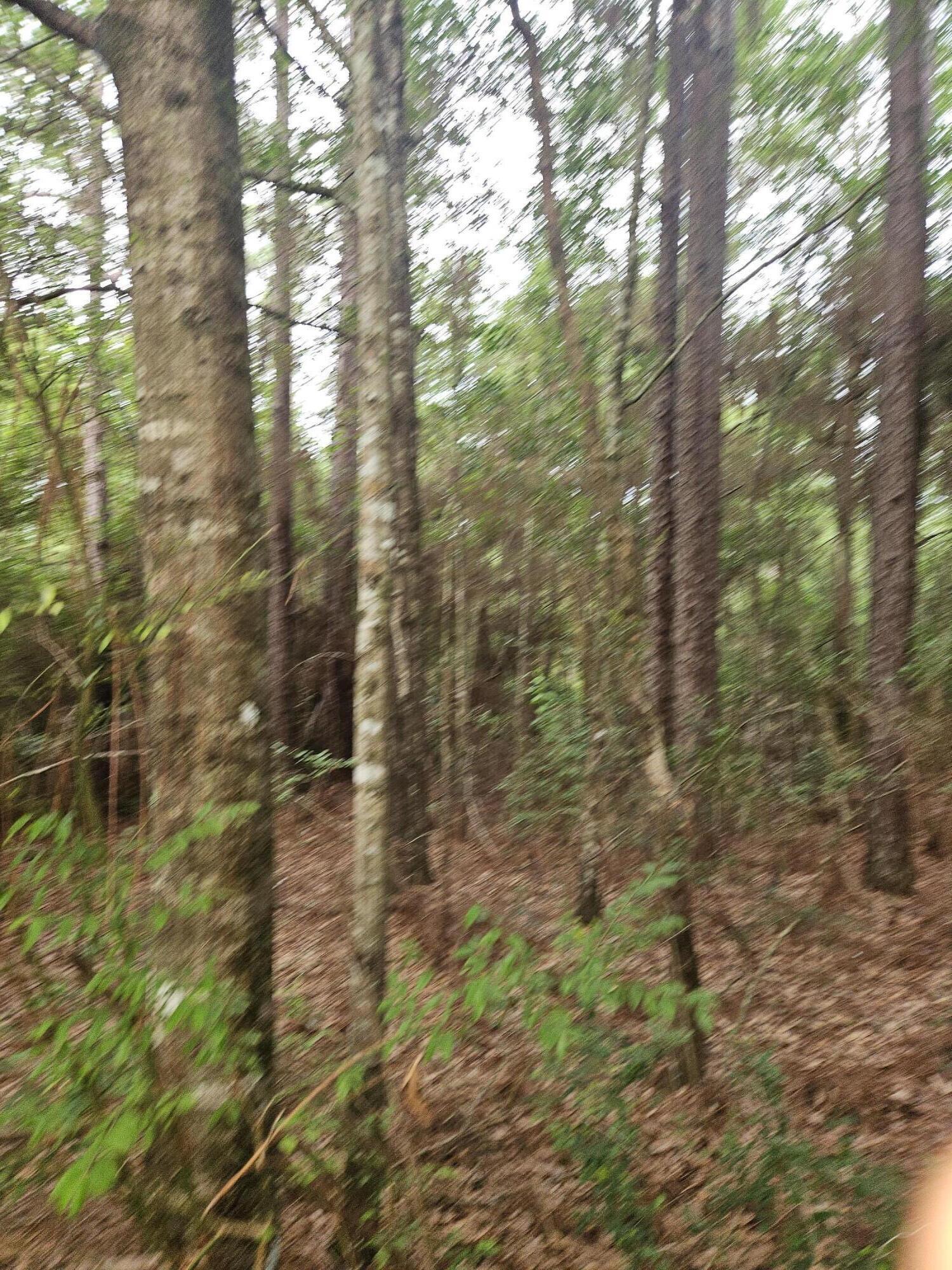 1.12-acres Possum Ridge Road Crestview, FL 32539 - Photo 2 of 8 20260609_082944