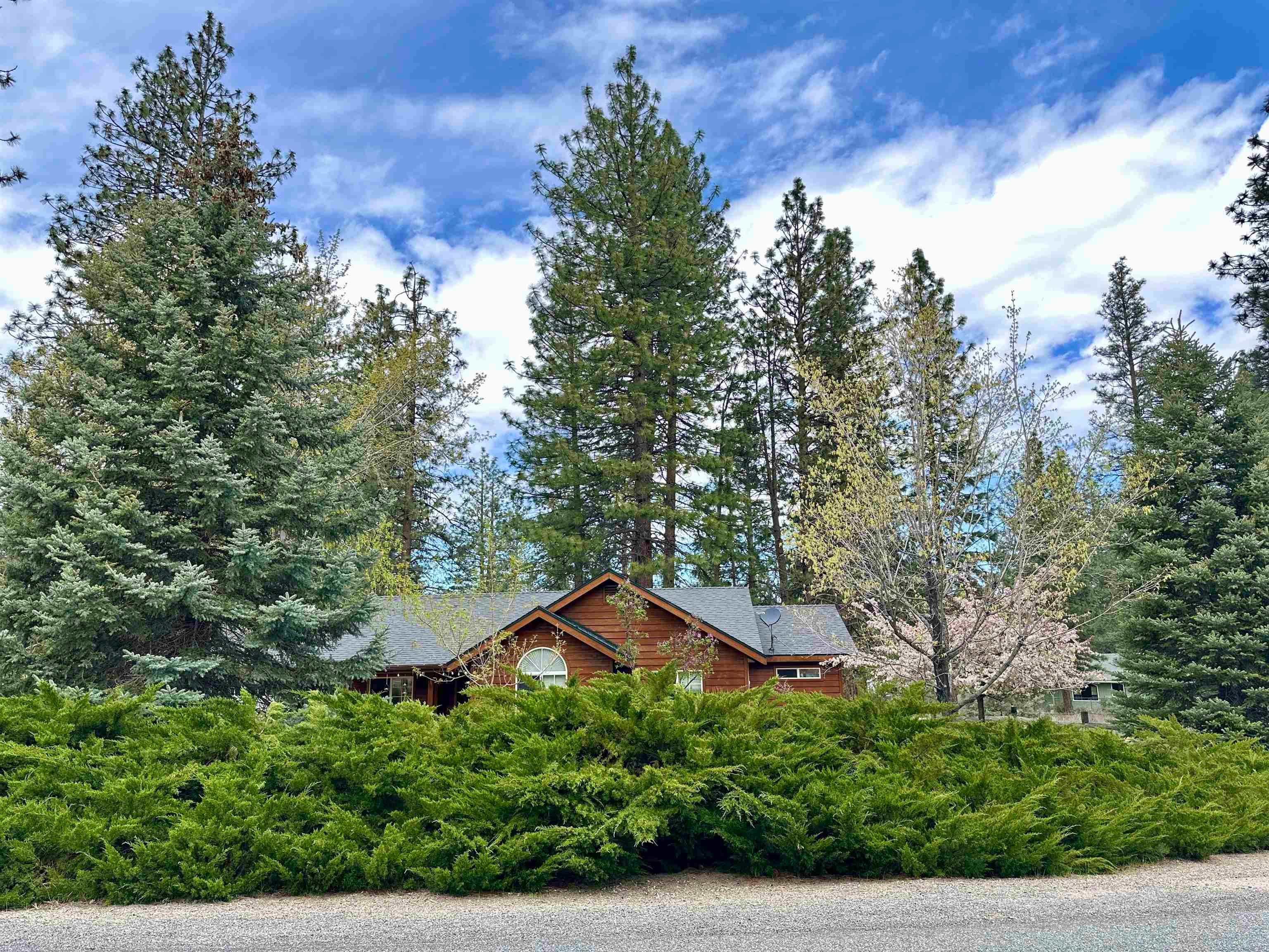 17445 Jack Rabbit Road Weed, CA 96094 - Photo 38 of 38 Gallery Image 38