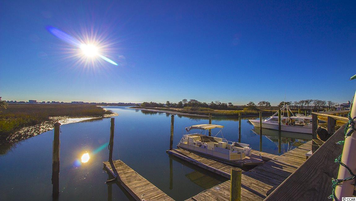 314 Hyacinth Loop Murrells Inlet, SC 29576 - Photo 2 of 25 Gallery Image 2