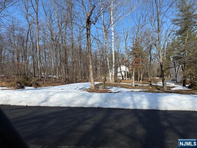 a view of a fountain is middle in the forest