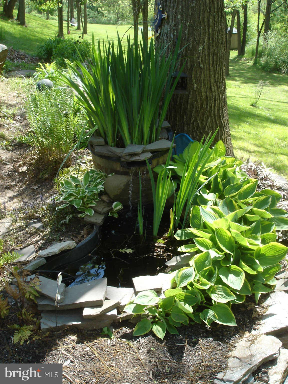 1746 Fairmount Road Hampstead, MD 21074 - Photo 2 of 17 garden pond
