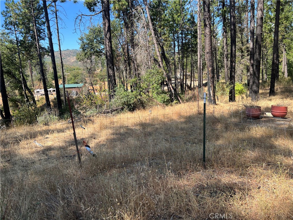 13477 Cirby Creek Road Oroville, CA 95965 - Photo 11 of 29