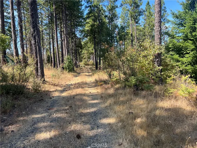 $75,000 | 13477 Cirby Creek Road, Oroville, CA 95965