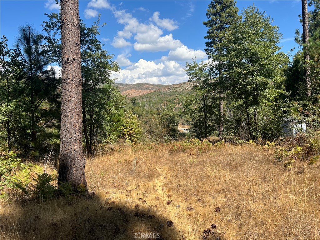 13477 Cirby Creek Road Oroville, CA 95965 - Photo 14 of 29