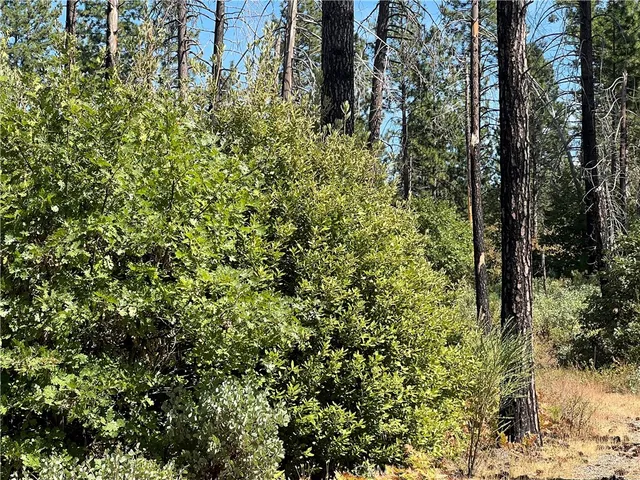 $75,000 | 13477 Cirby Creek Road, Oroville, CA 95965