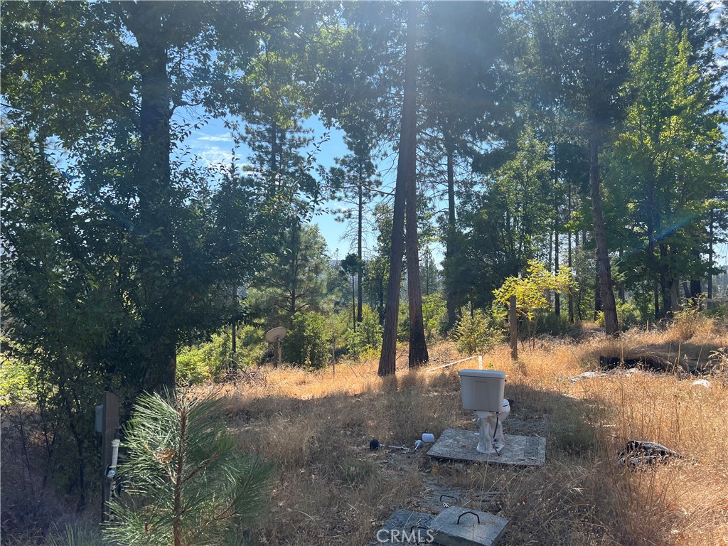 13477 Cirby Creek Road Oroville, CA 95965 - Photo 18 of 29