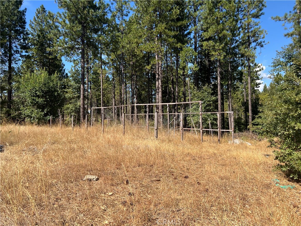 13477 Cirby Creek Road Oroville, CA 95965 - Photo 19 of 29