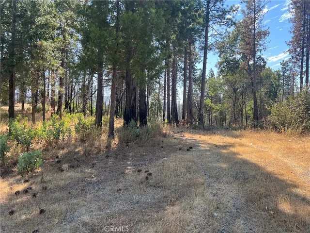 $75,000 | 13477 Cirby Creek Road, Oroville, CA 95965