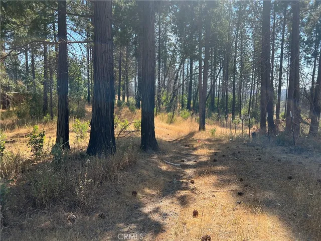 $75,000 | 13477 Cirby Creek Road, Oroville, CA 95965