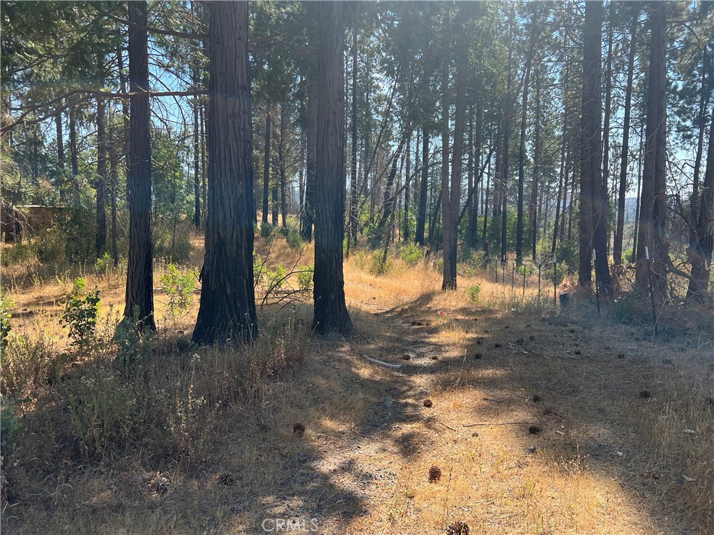 13477 Cirby Creek Road Oroville, CA 95965 - Photo 21 of 29