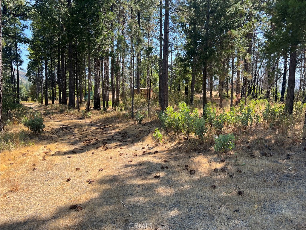 13477 Cirby Creek Road Oroville, CA 95965 - Photo 22 of 29